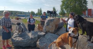 IMG_20200817_101555_884~2