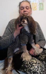Kloklippning hund